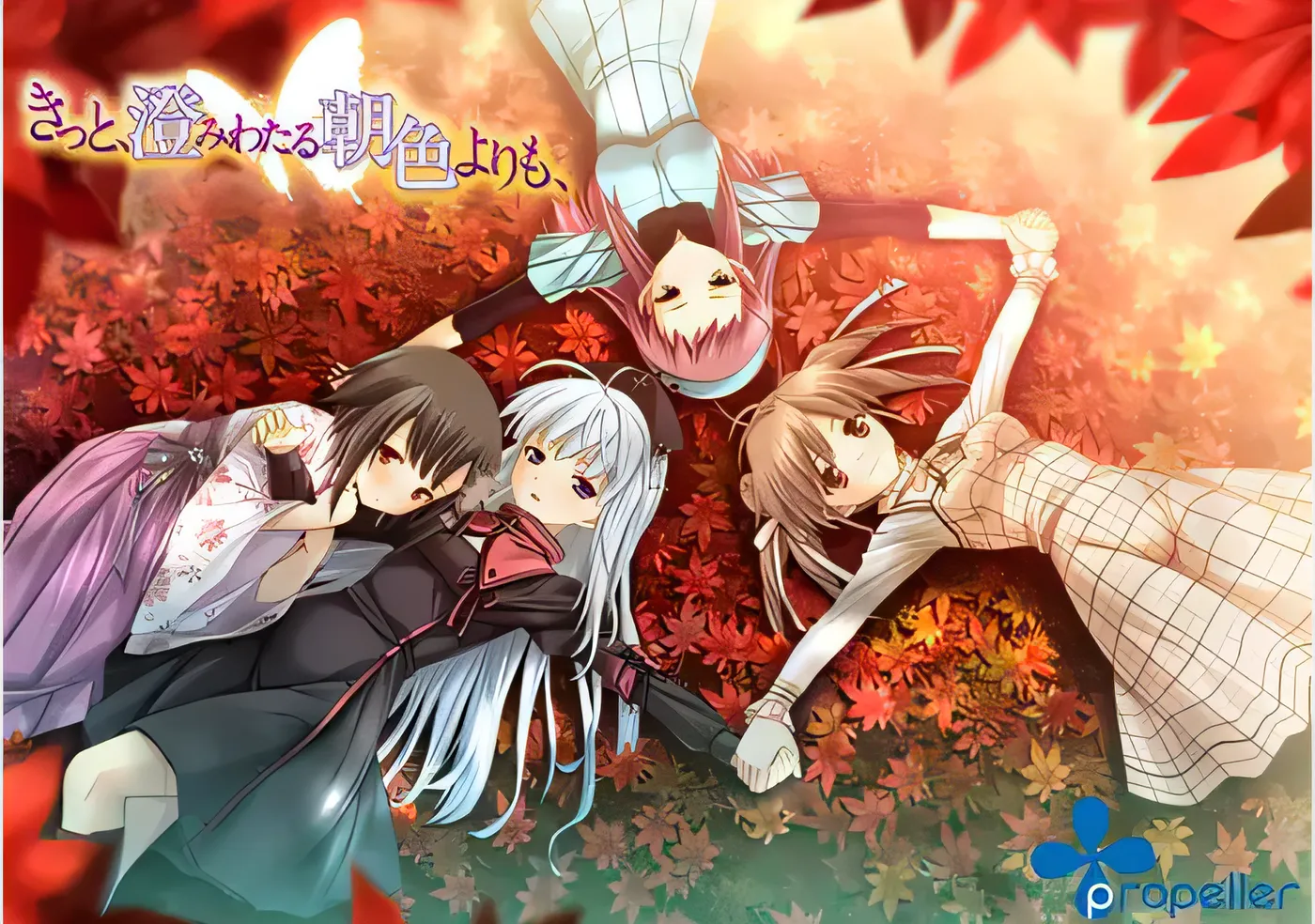 图片[2]-w251  从晴朗的朝色泛起之际开始 汉化硬盘版+特典 [新作/3.2G]-acg畅游网