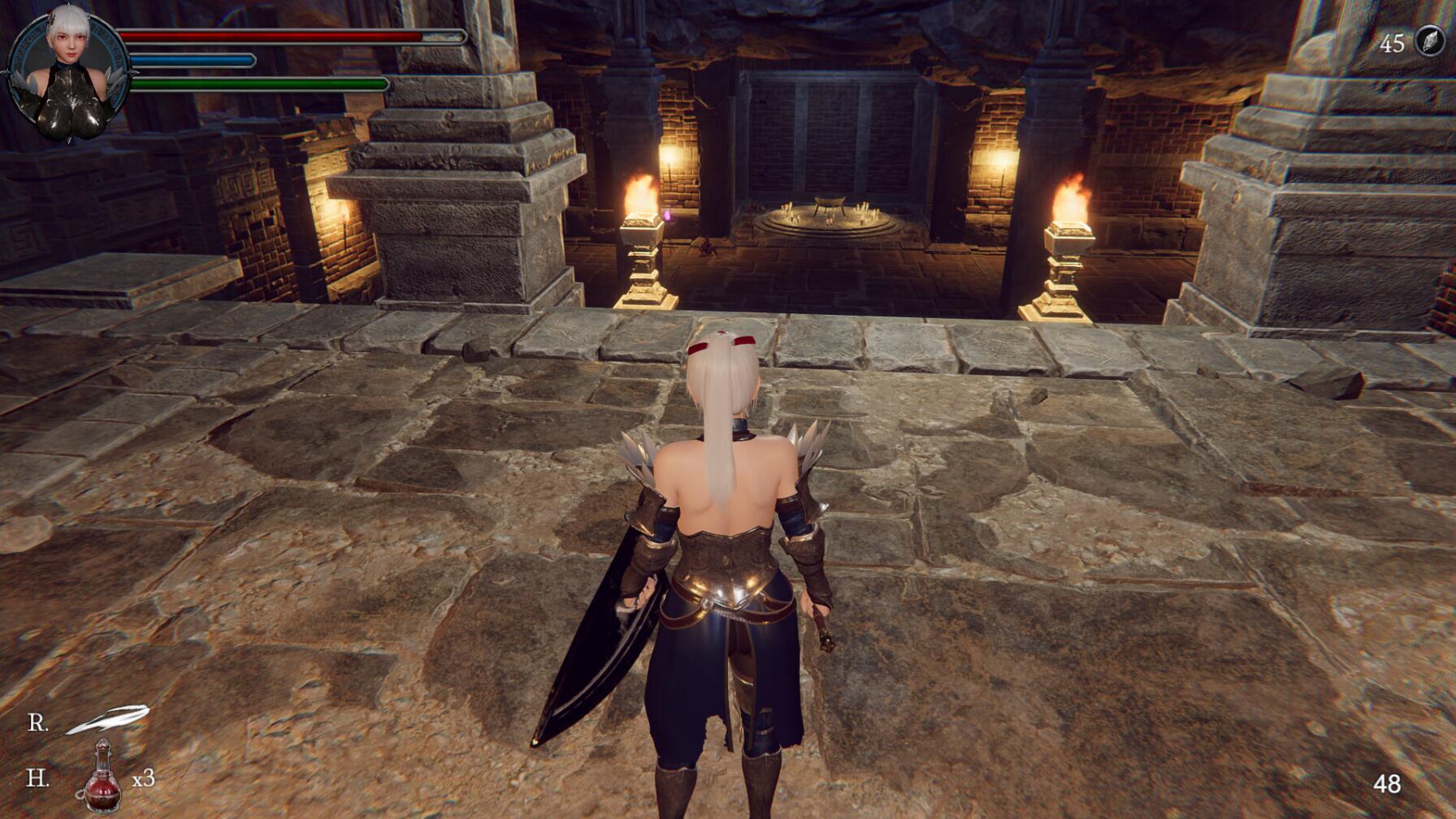 图片[3]-x1579地下城的女骑士 Steam官方中文 [新作/1.6G]-acg畅游网