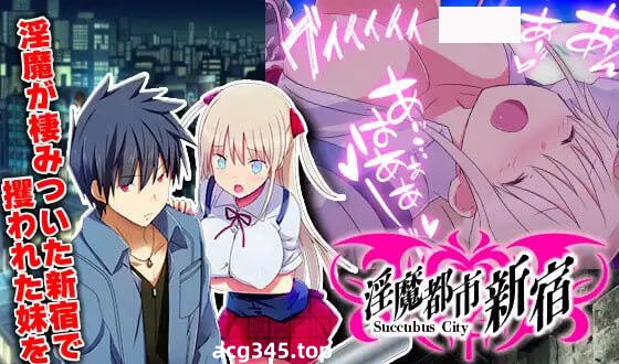 w2253 淫魔都市新宿 AI汉化-acg畅游网
