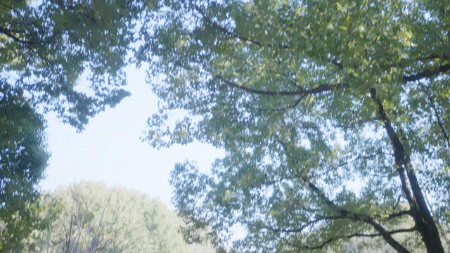 图片[5]-w2150 女神保卫战 Steam官方中文 真人SLG  71G-acg畅游网