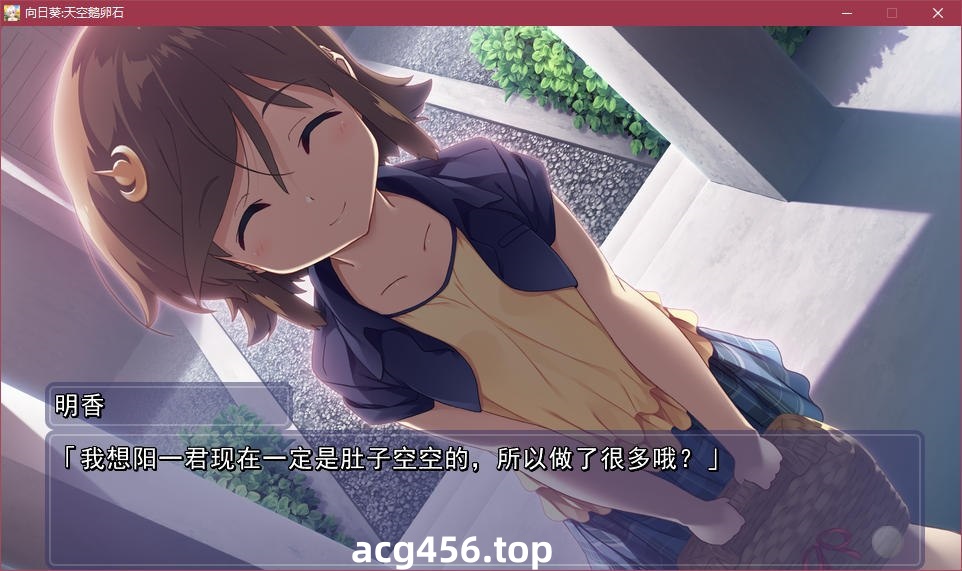 x5020 向日葵：天空鹅卵石   汉化版 [2.8G]-acg畅游网