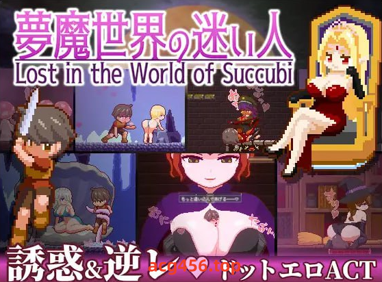 x2331梦魔世界的迷失者 V1.0 (夢魔世界の迷い人) DL官方中文[新作/370M]-acg畅游网