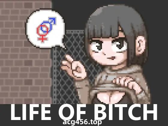 x2226 婊子的生活 V1.0  LIFE OF BITCH  机翻汉化[更新/400M]-acg畅游网