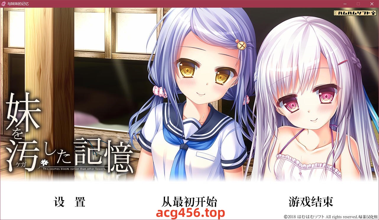 t5002 与妹妹的记忆 汉化版 [2G]-acg畅游网