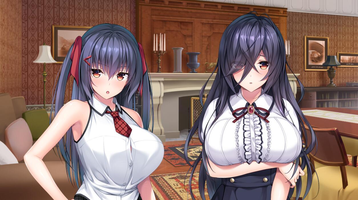 图片[4]-t2072 ROLEPLAYER：小粥姐妹的黏膜游戏 汉化版[新作/6G]-acg畅游网