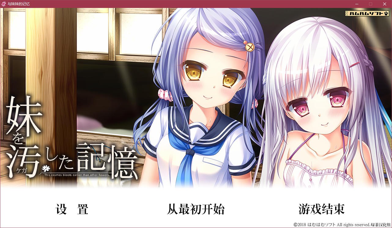 图片[2]-t5002 与妹妹的记忆 汉化版 [2G]-acg畅游网