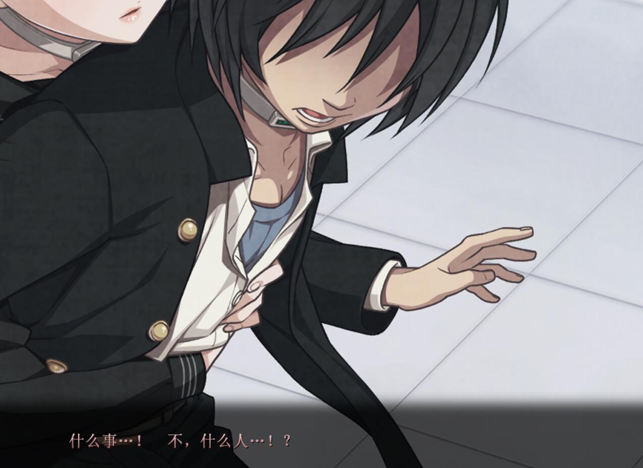 图片[4]-t2223 乐园之扉/Euphoria 精翻汉化[5.3G]-acg畅游网