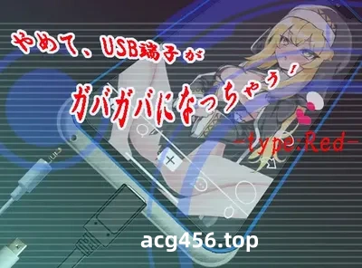 t2881快住手、USB接口要松掉了！挂载AI汉化版 [新作/1.2G]-acg畅游网