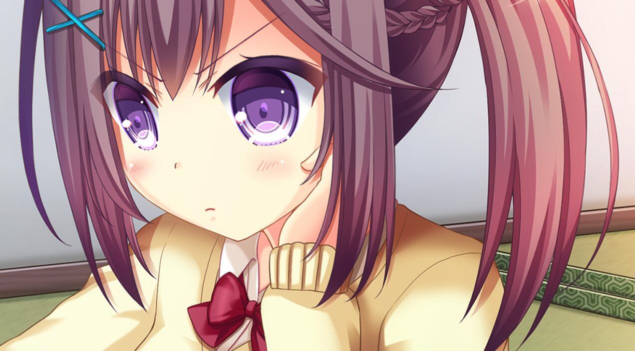 图片[3]-x40093雪夜，我让妹妹脱光衣服 AI汉化 全CG存档[更新/3.2G]-acg畅游网