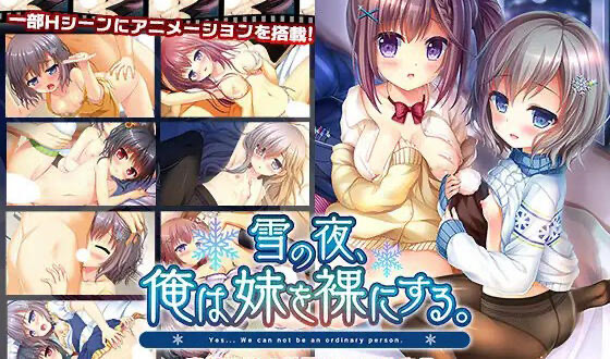 x40093雪夜，我让妹妹脱光衣服 AI汉化 全CG存档[更新/3.2G]-acg畅游网