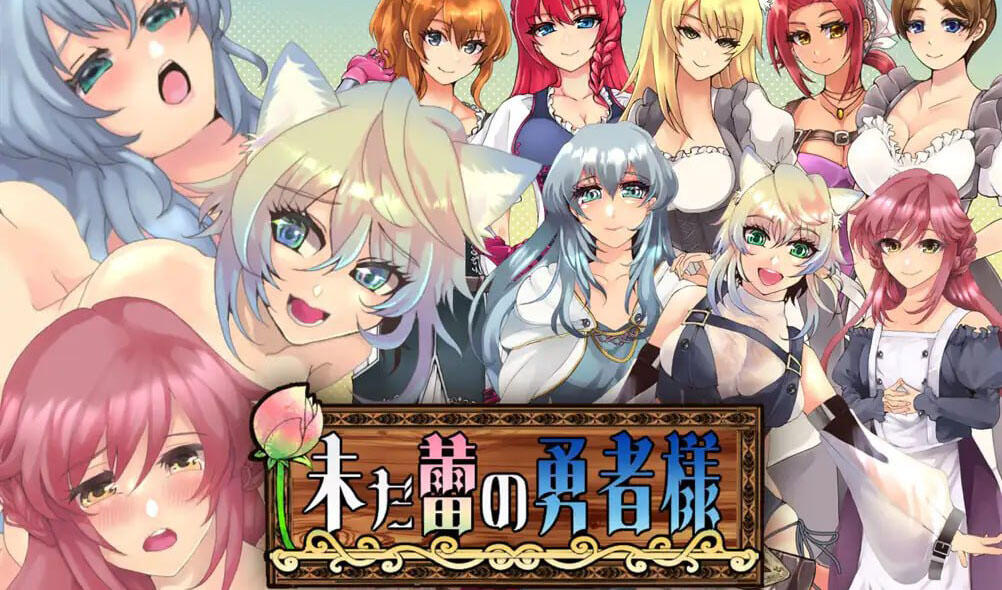 x40121花蕾的勇者大人 V1.02 汉化版[新作/1.7G]-acg畅游网