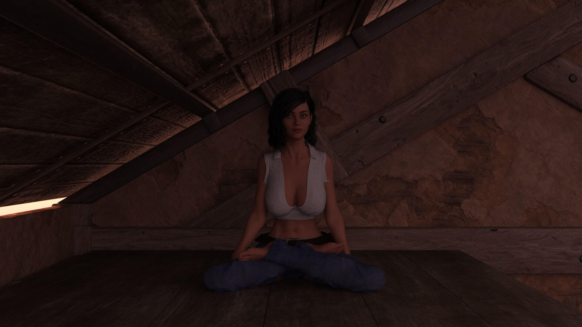 图片[4]-狂野西部的布鲁克斯 V1.1 STEAM官中[新作/1.2G]-乐游二次元